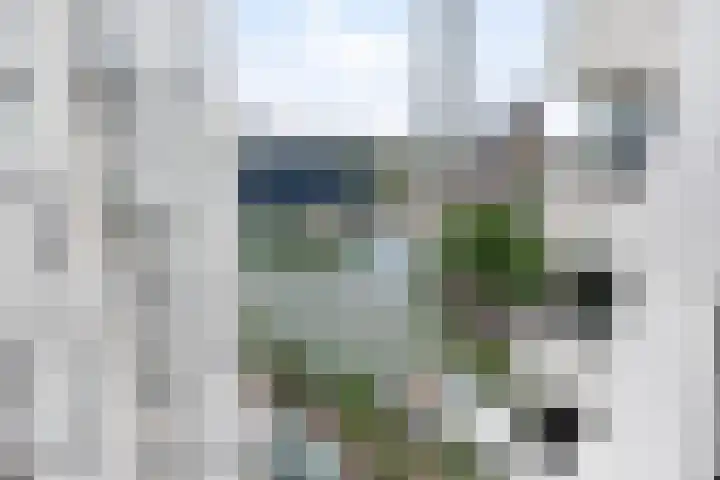 Boompjes 347 Rotterdam thumbnail 8