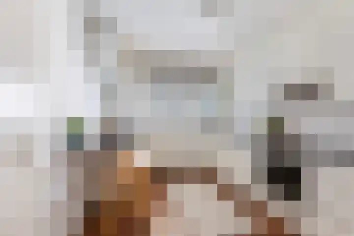 Boompjes 361 Rotterdam thumbnail 13