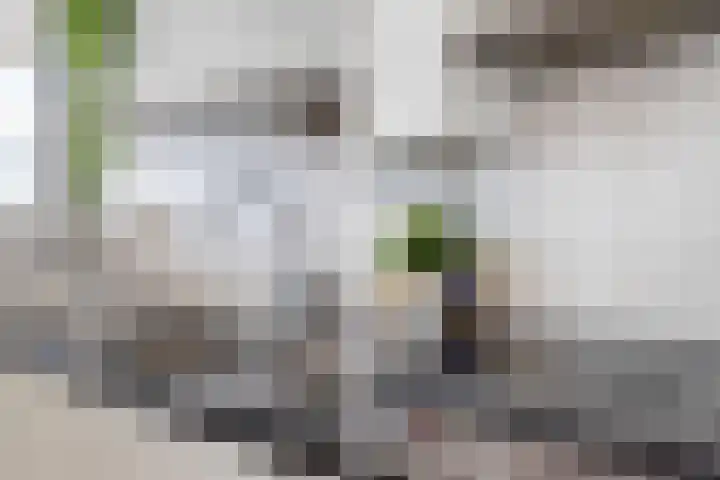 Boompjes 361 Rotterdam thumbnail 17
