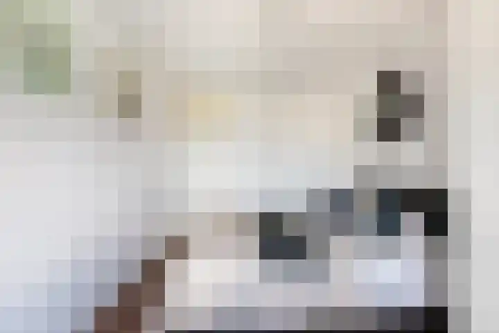 Boompjes 361 Rotterdam thumbnail 29