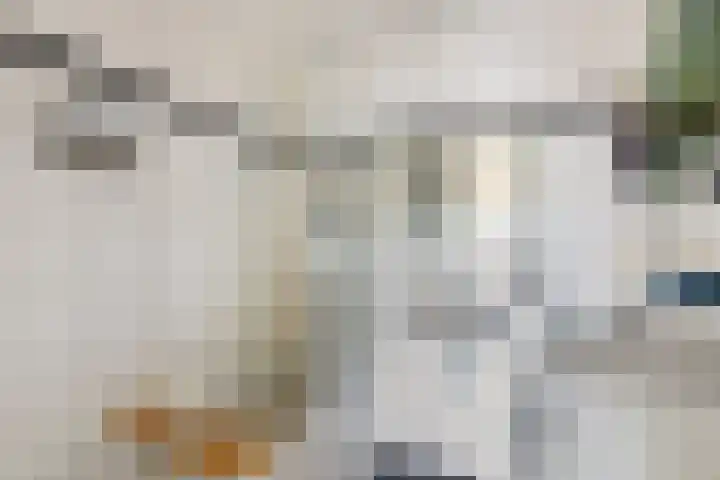 Boompjes 361 Rotterdam thumbnail 34