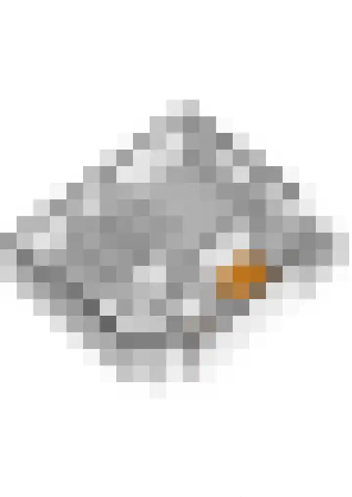 Boompjes 361 Rotterdam thumbnail 46
