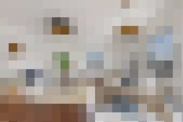 Boompjes 361 Rotterdam thumbnail 6