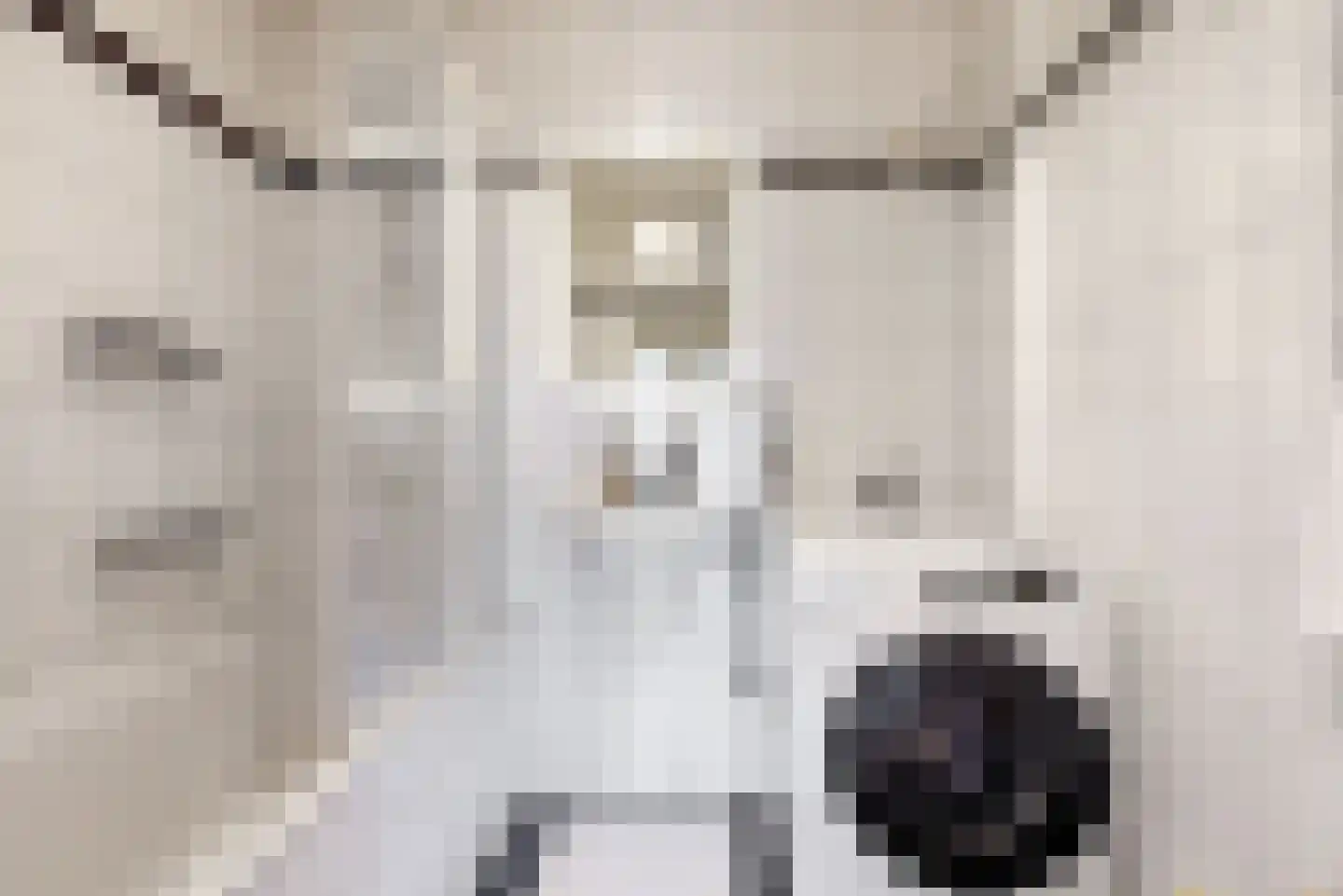 Boompjes 367 Rotterdam thumbnail 21