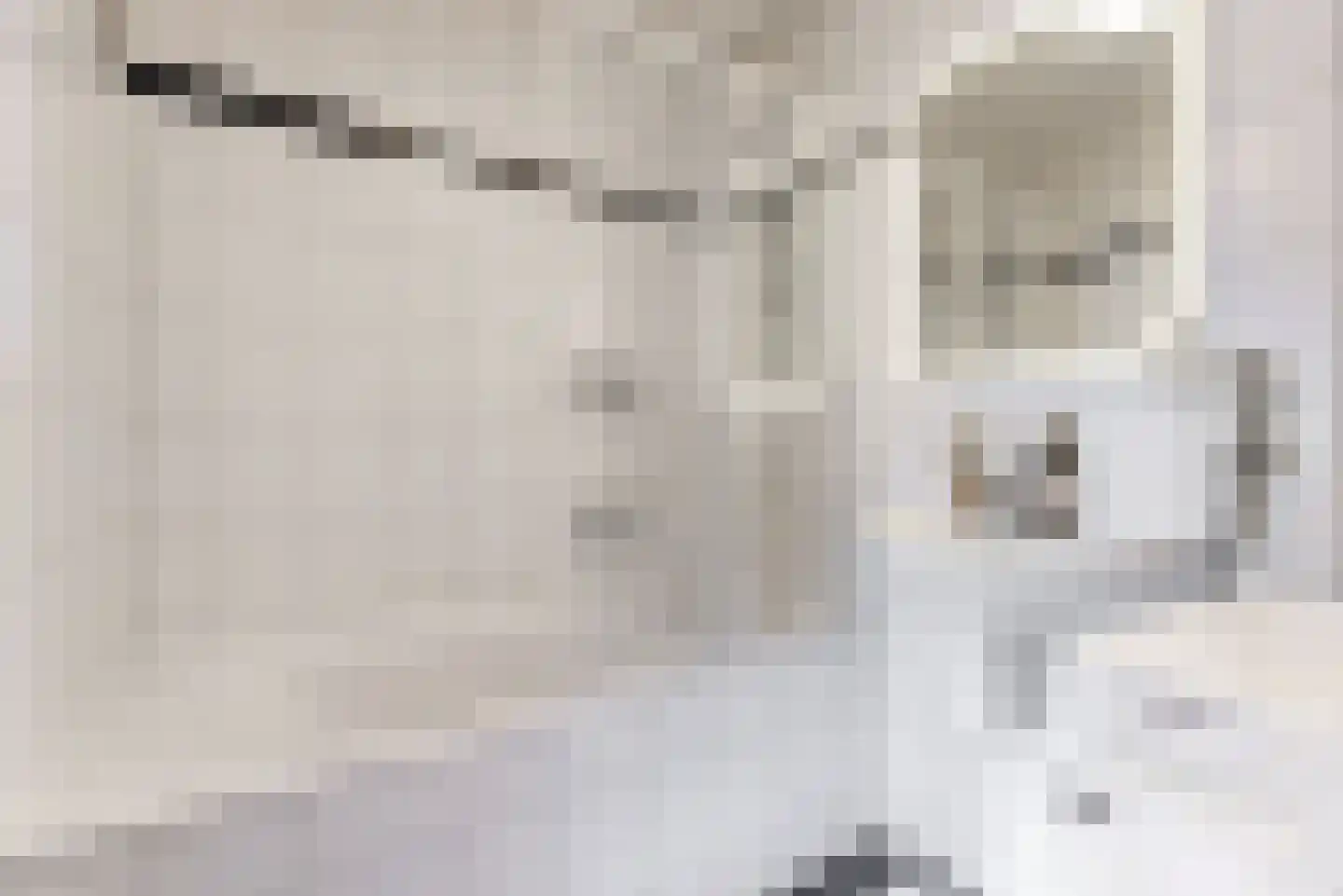 Boompjes 367 Rotterdam thumbnail 22