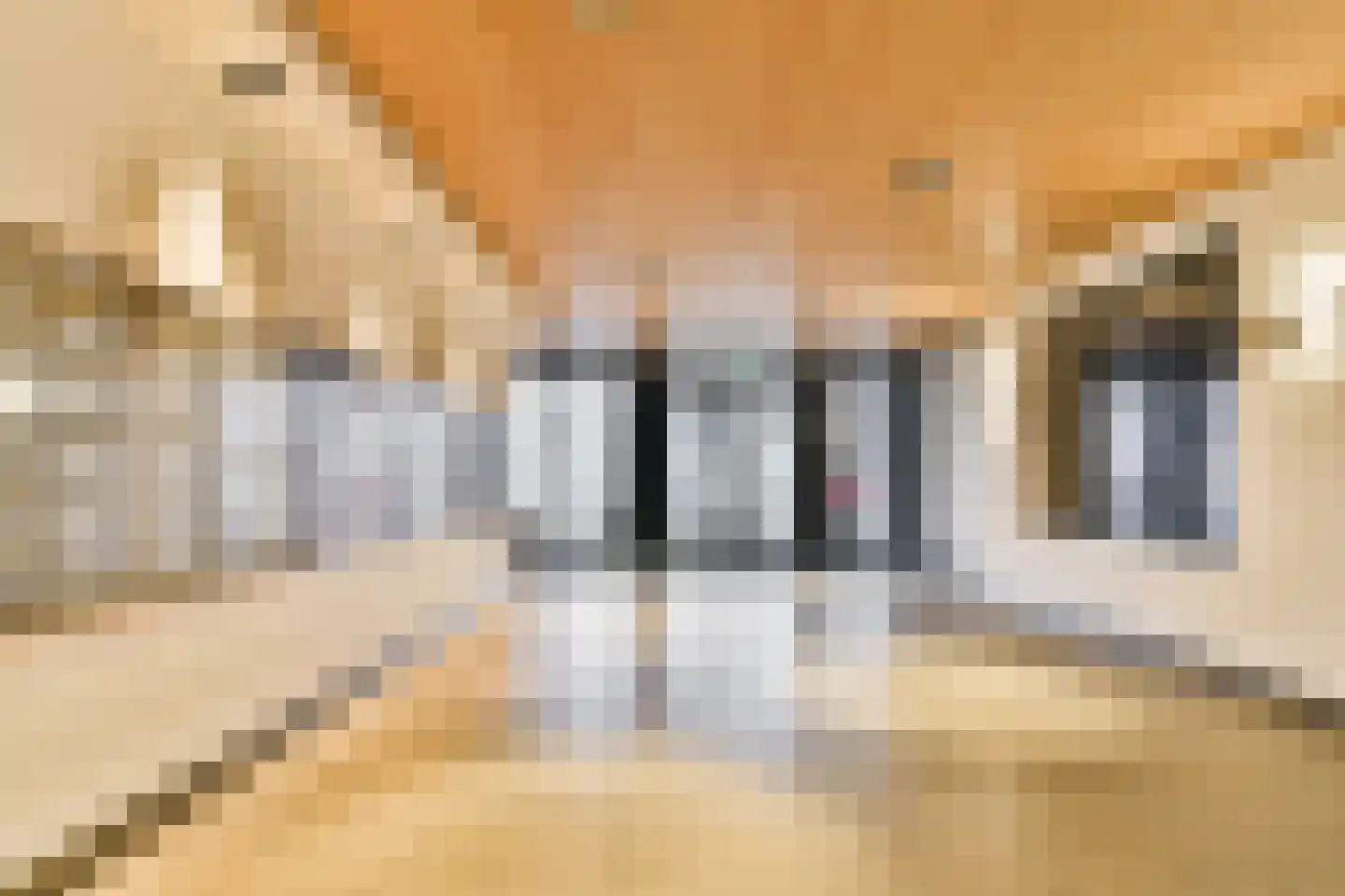 Boompjes 367 Rotterdam thumbnail 23