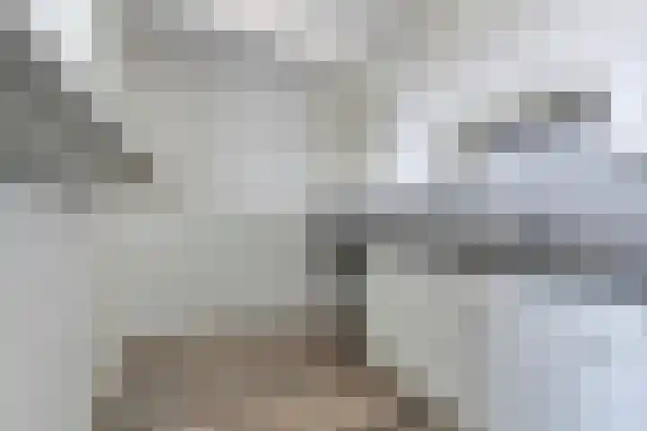 Boompjes 381 Rotterdam thumbnail 7