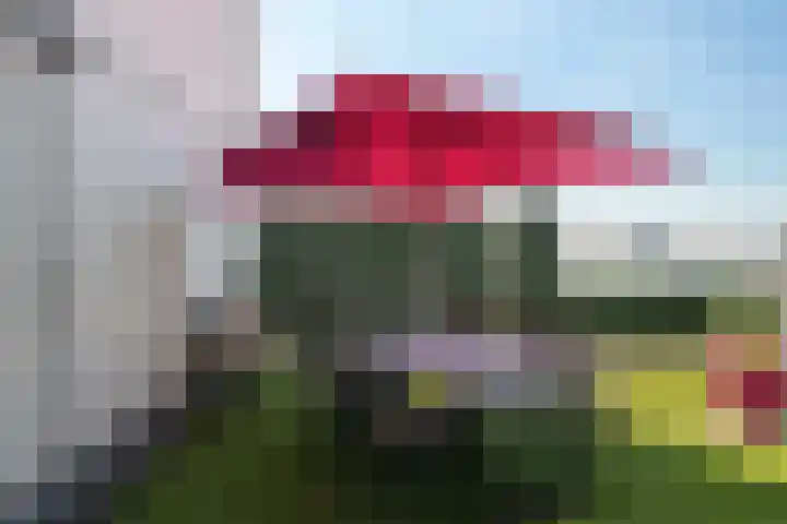 Boompjes 387 Rotterdam thumbnail 16