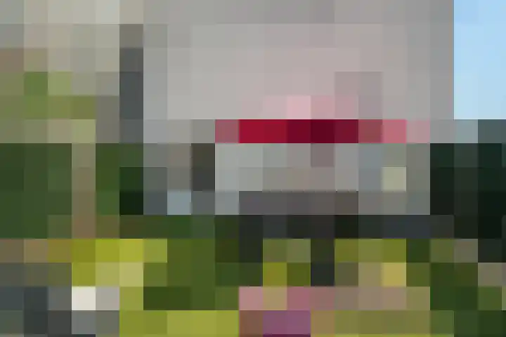 Boompjes 387 Rotterdam thumbnail 17