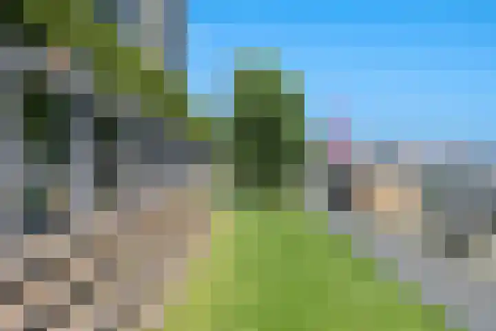 Boompjes 387 Rotterdam thumbnail 27