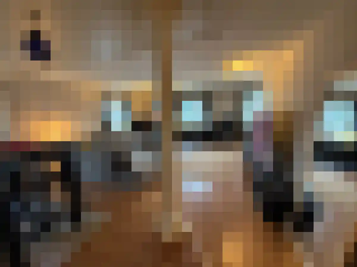 Boompjes 414 Rotterdam thumbnail 4