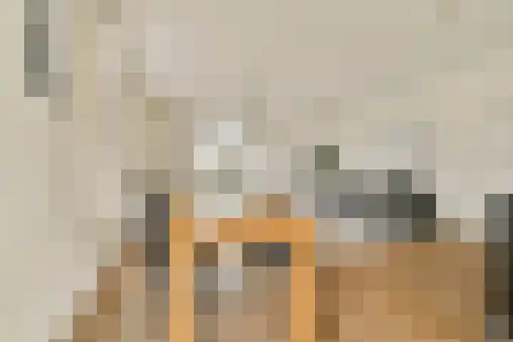 Boompjes 420 Rotterdam thumbnail 12