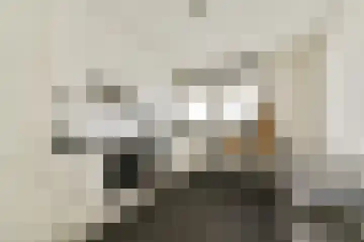 Boompjes 420 Rotterdam foto 3