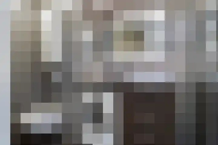 Boompjes 428 Rotterdam thumbnail 16