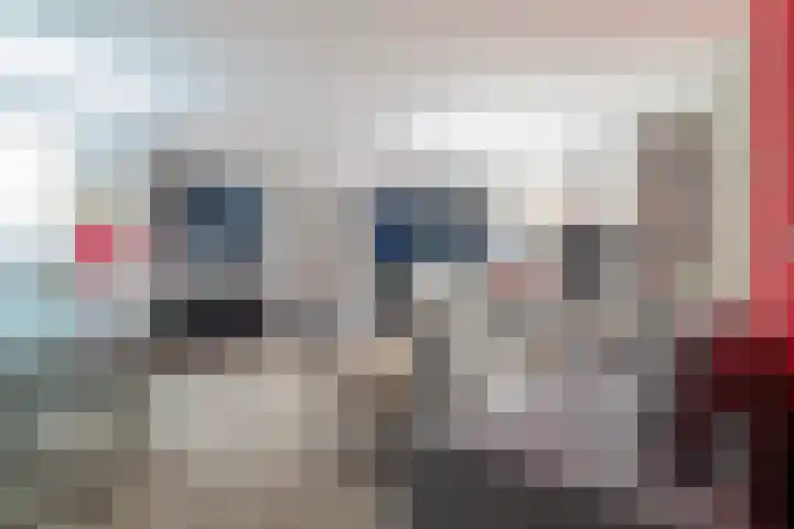 Boompjes 428 Rotterdam thumbnail 17