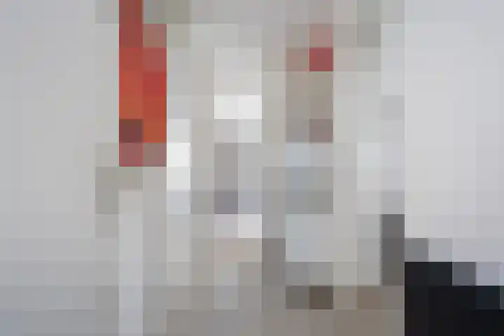 Boompjes 428 Rotterdam thumbnail 4