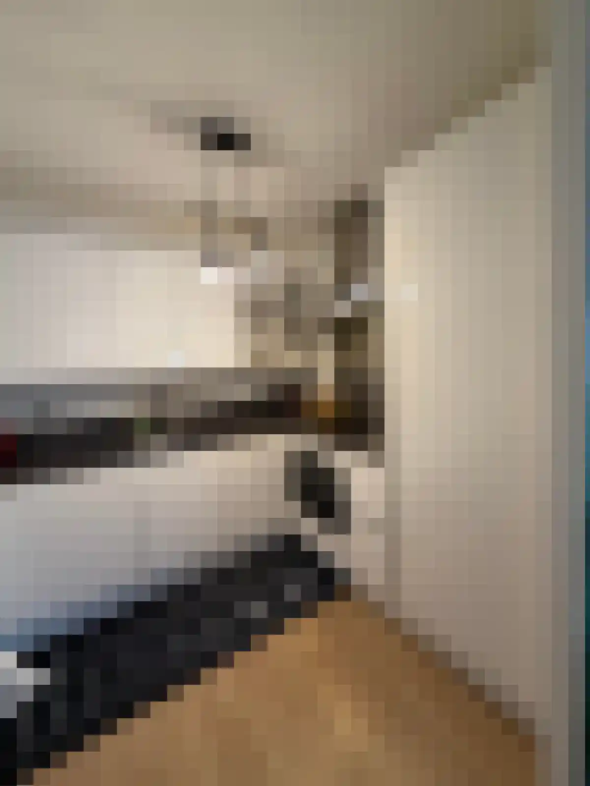 Boompjes 431 Rotterdam thumbnail 4