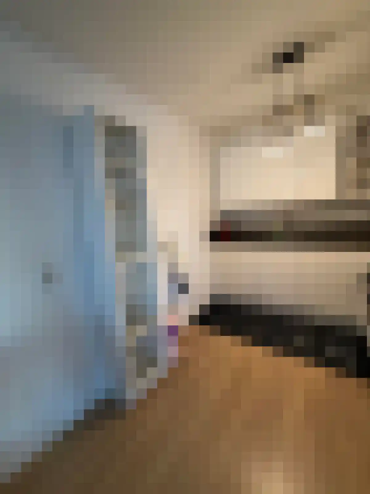 Boompjes 431 Rotterdam thumbnail 5