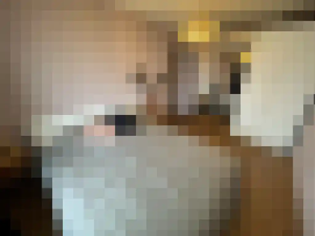 Boompjes 431 Rotterdam thumbnail 5