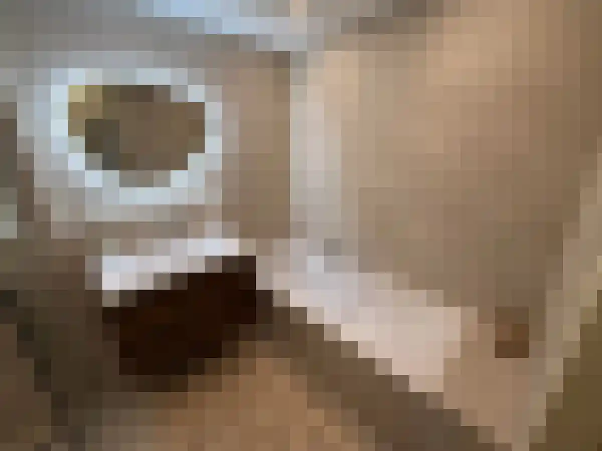 Boompjes 431 Rotterdam thumbnail 6