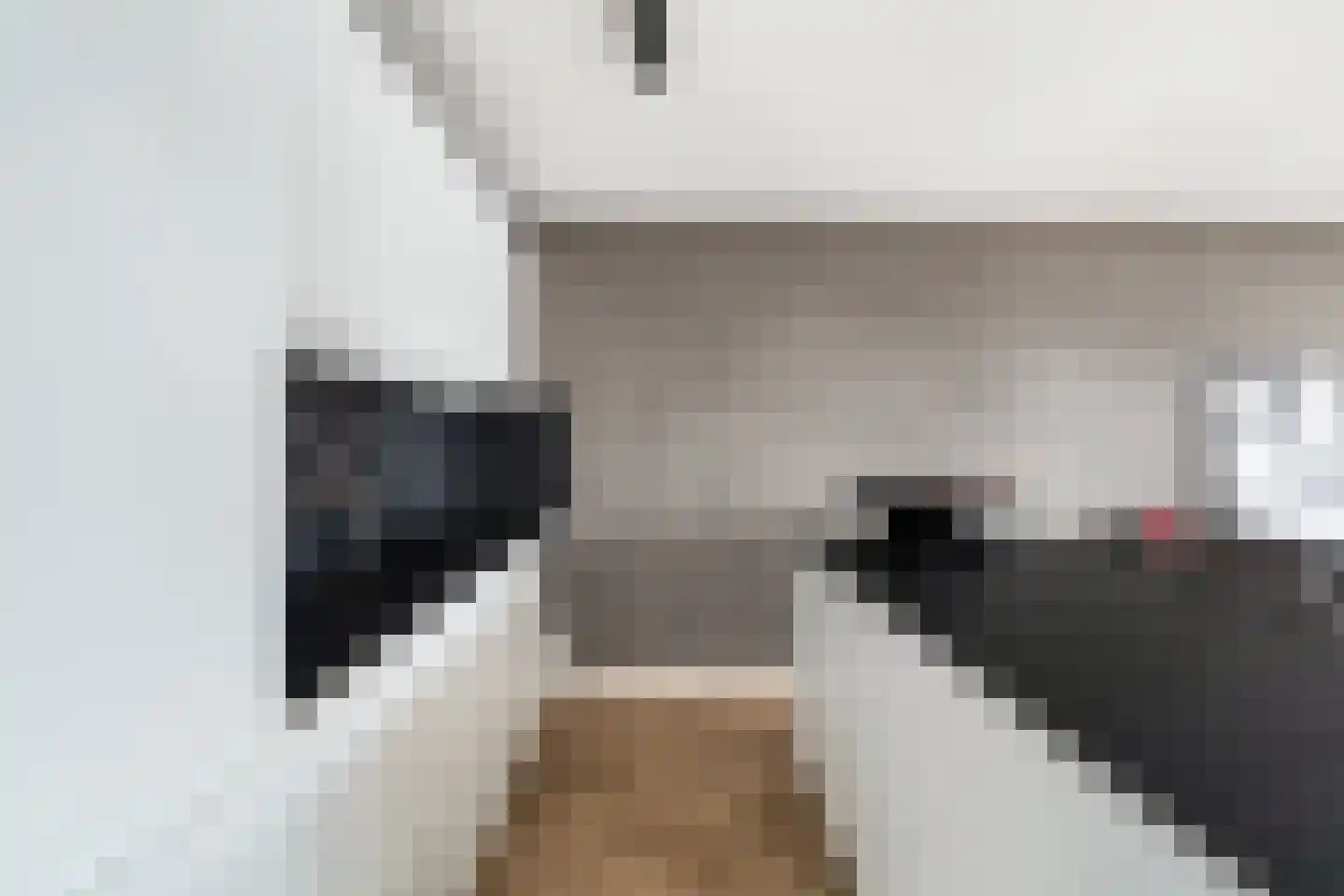 Boompjes 436 Rotterdam thumbnail 11