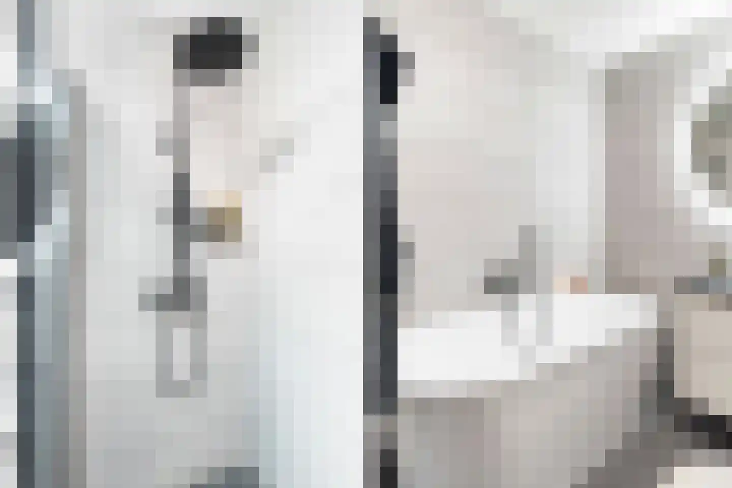 Boompjes 436 Rotterdam thumbnail 28