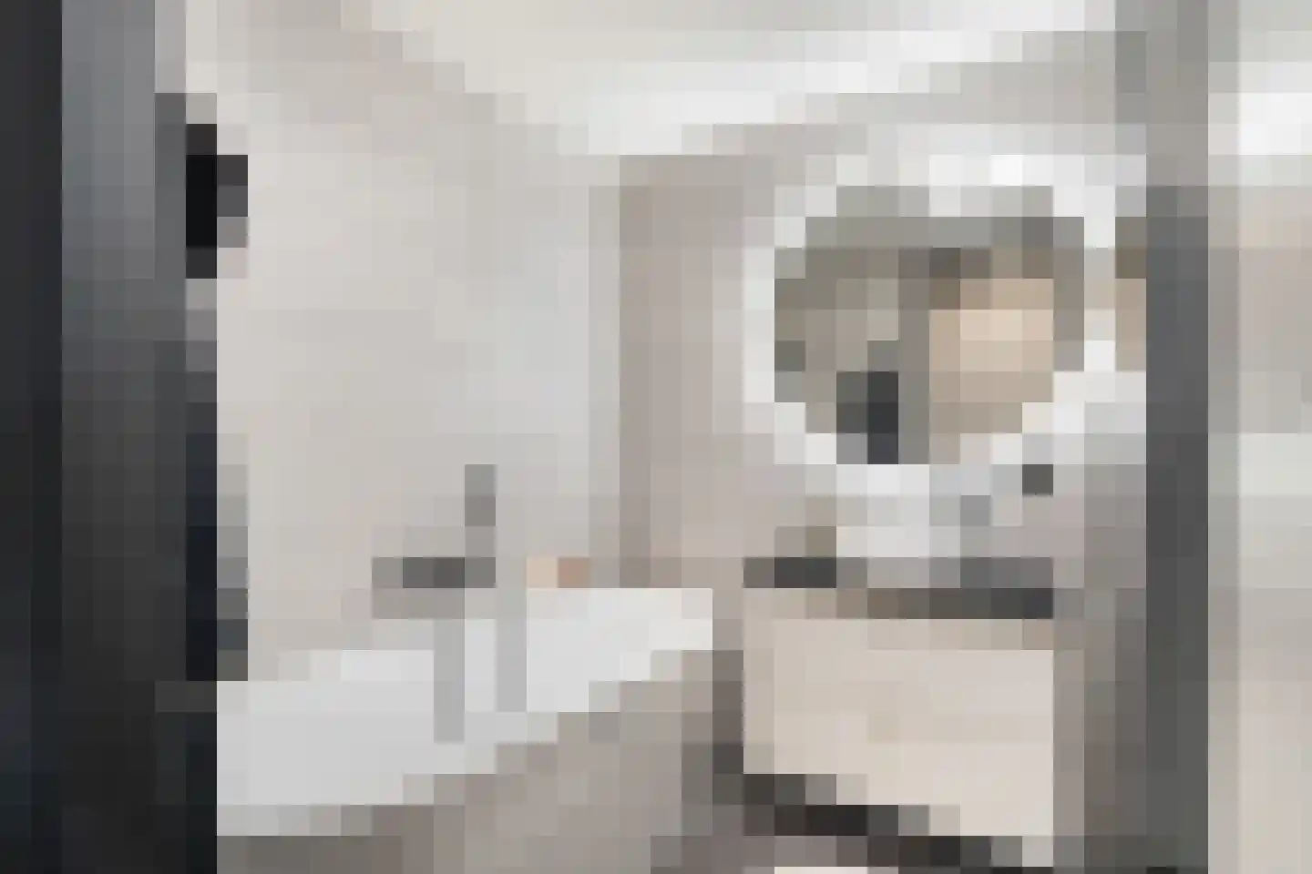 Boompjes 436 Rotterdam thumbnail 30