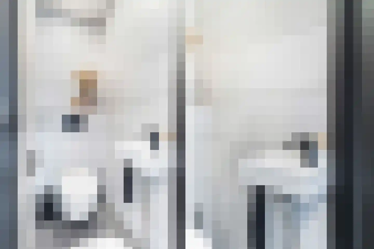 Boompjes 436 Rotterdam thumbnail 31