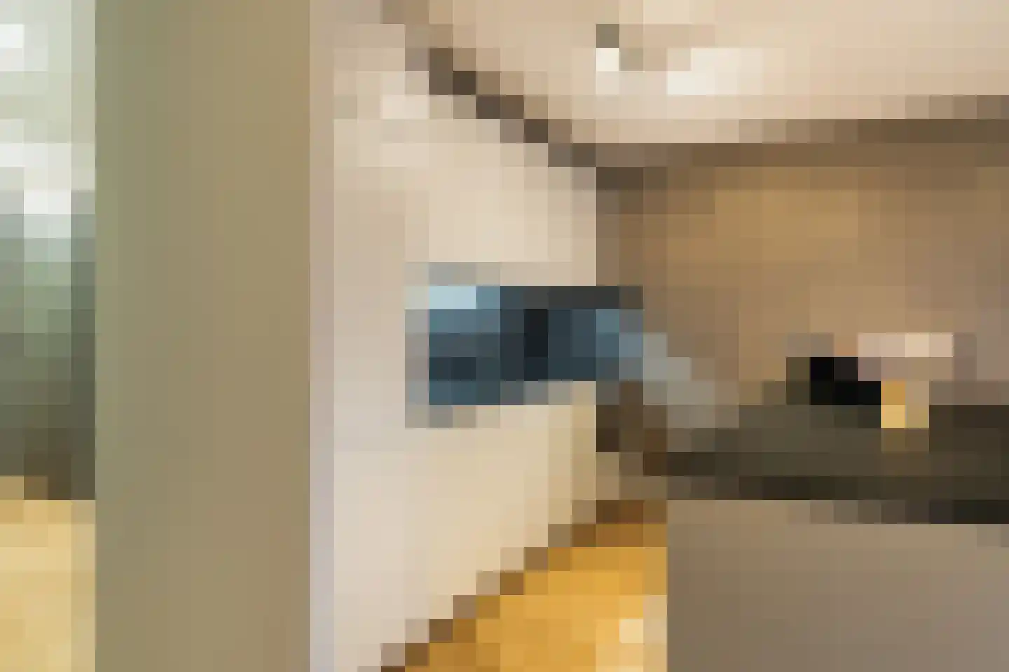 Boompjes 436 Rotterdam thumbnail 34