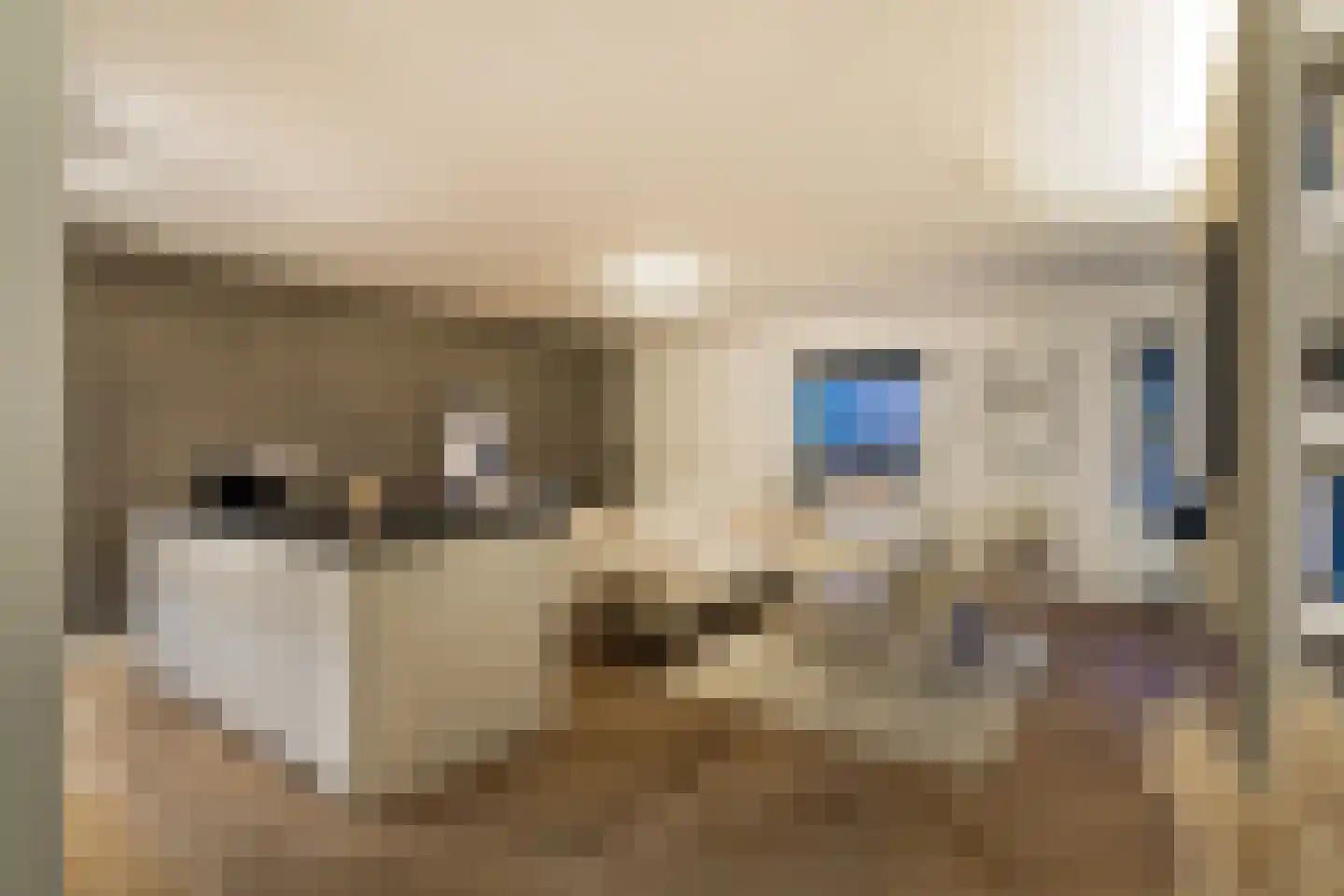 Boompjes 436 Rotterdam thumbnail 35