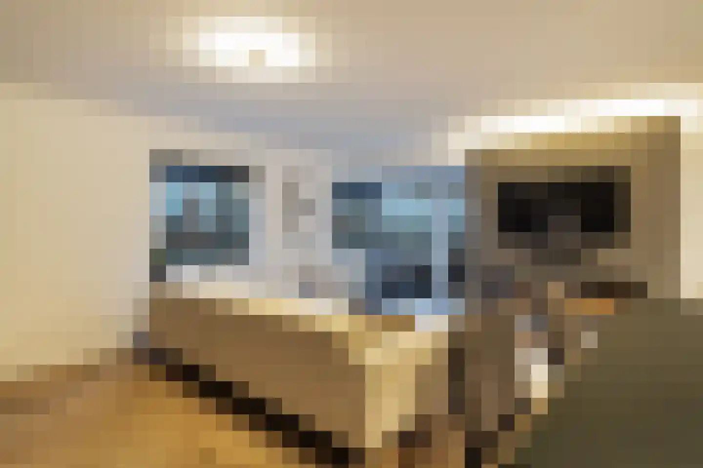 Boompjes 436 Rotterdam thumbnail 36