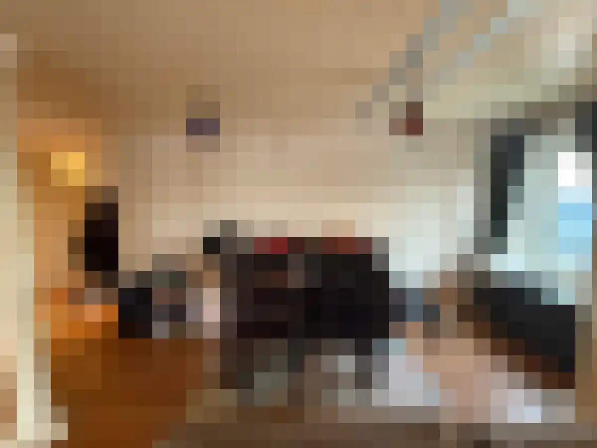 Boompjes 442 Rotterdam thumbnail 6
