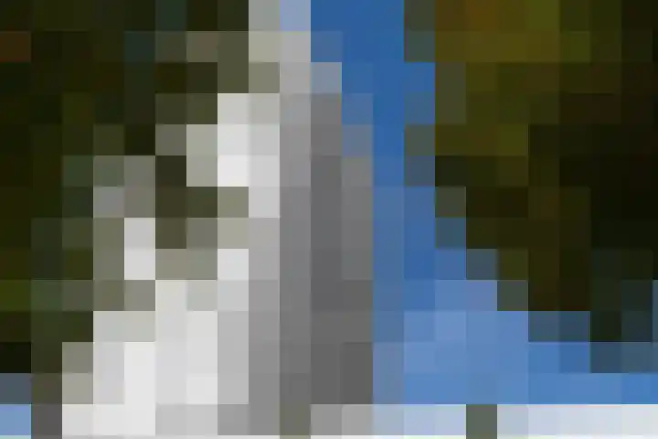 Boompjes 446 Rotterdam thumbnail 6