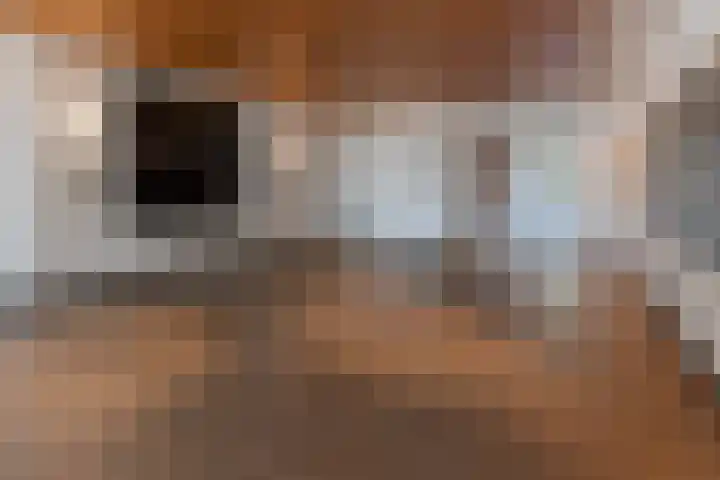 Boompjes 446 Rotterdam thumbnail 7