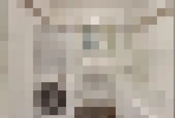 Boompjes 456 Rotterdam thumbnail 19