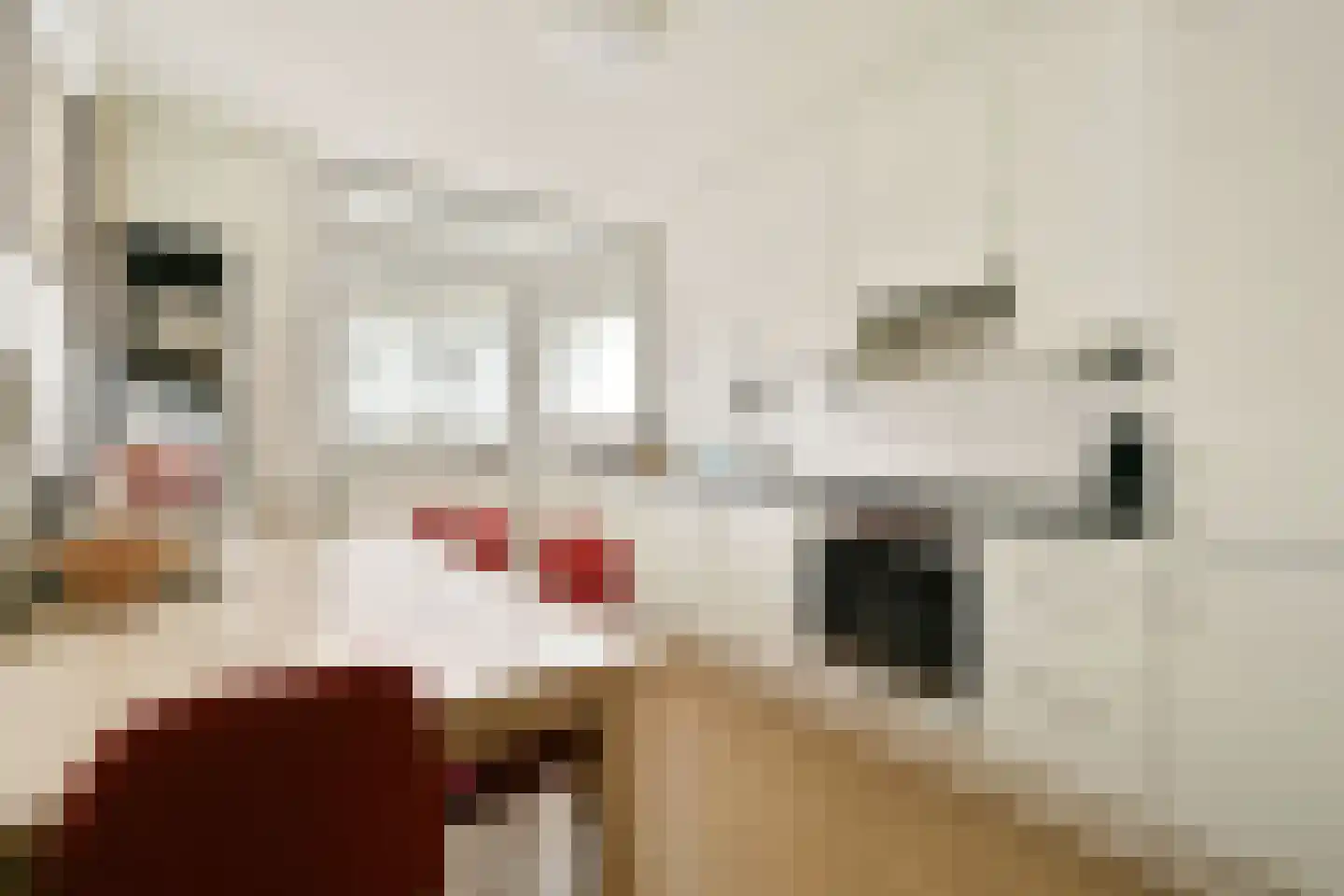 Boompjes 463 Rotterdam thumbnail 15