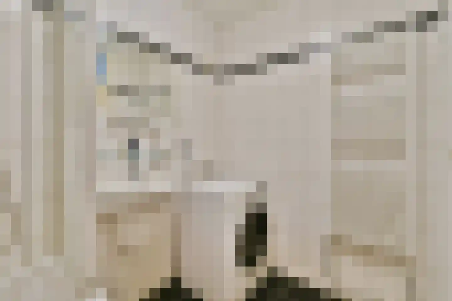 Boompjes 463 Rotterdam thumbnail 23