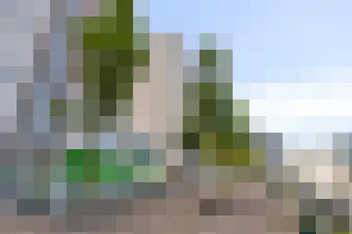 Boompjes 482 Rotterdam thumbnail 24