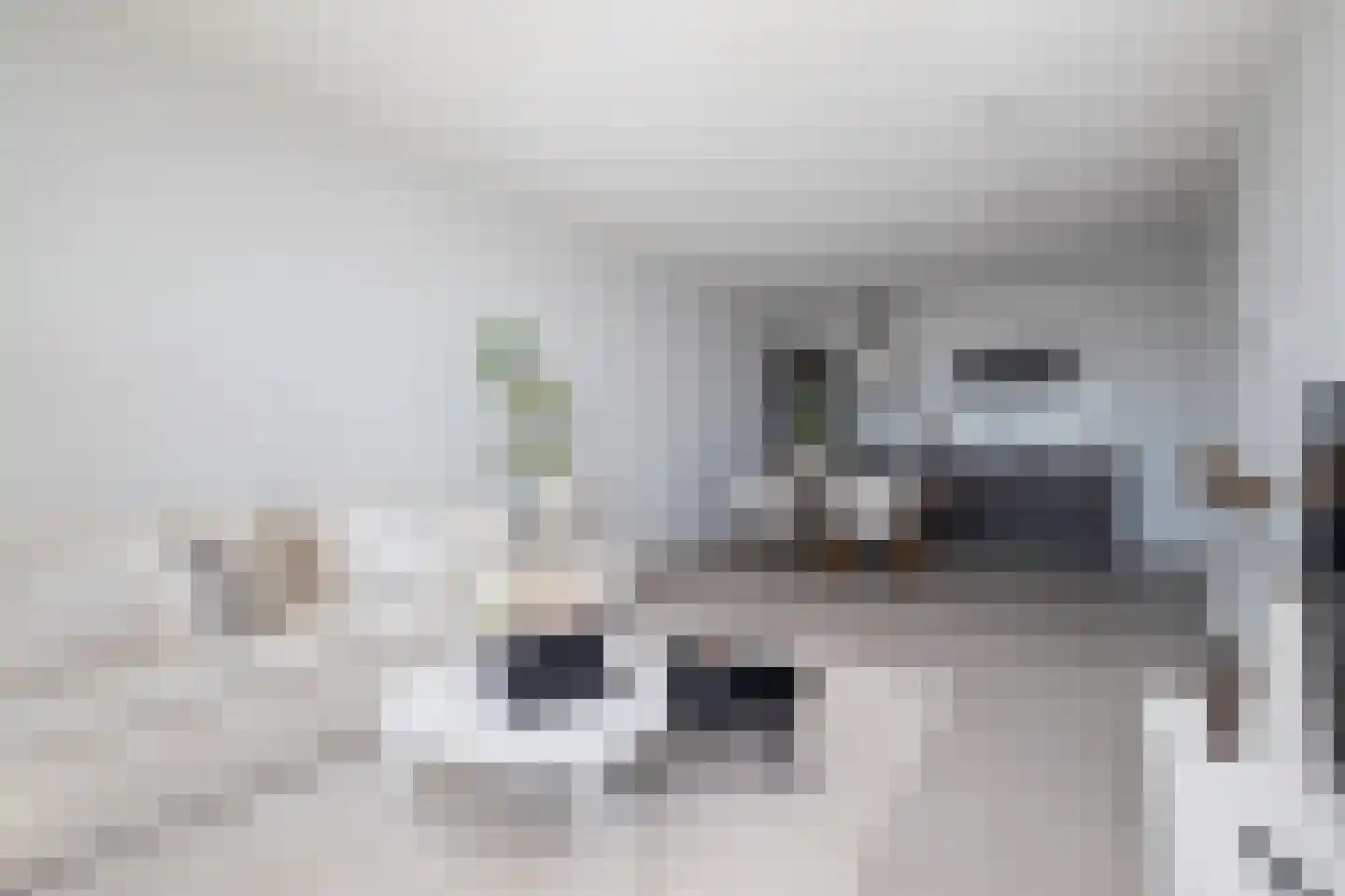 Boompjes 53 D Rotterdam thumbnail 8