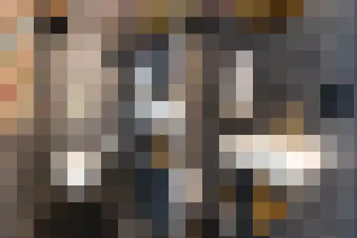 Boompjes 53 G Rotterdam thumbnail 35