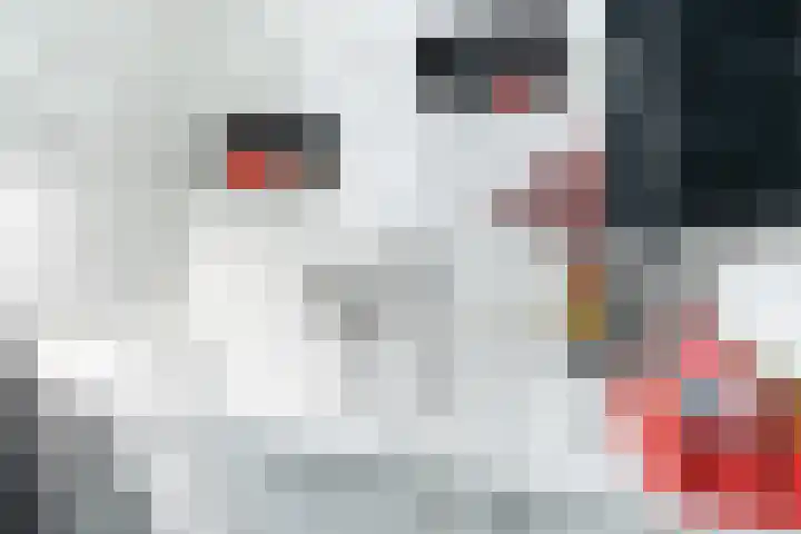 Boompjes 53 G Rotterdam thumbnail 39