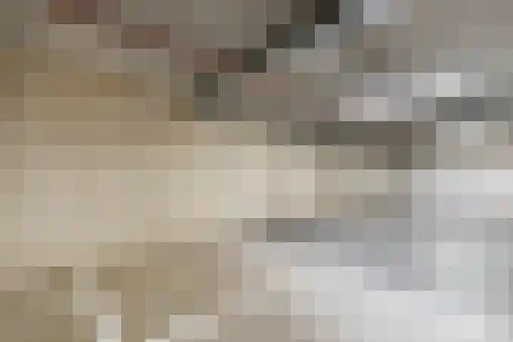 Boompjes 53 G Rotterdam thumbnail 42