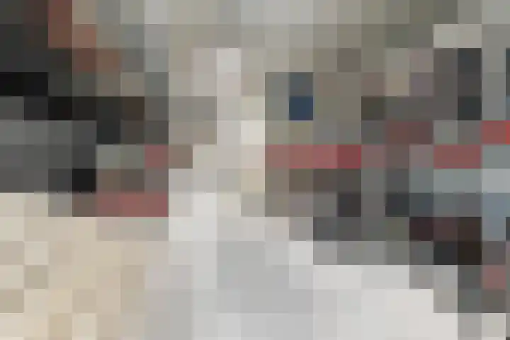 Boompjes 53 G Rotterdam thumbnail 43