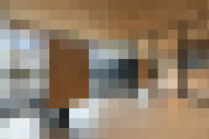 Boompjes 53 G Rotterdam thumbnail 9