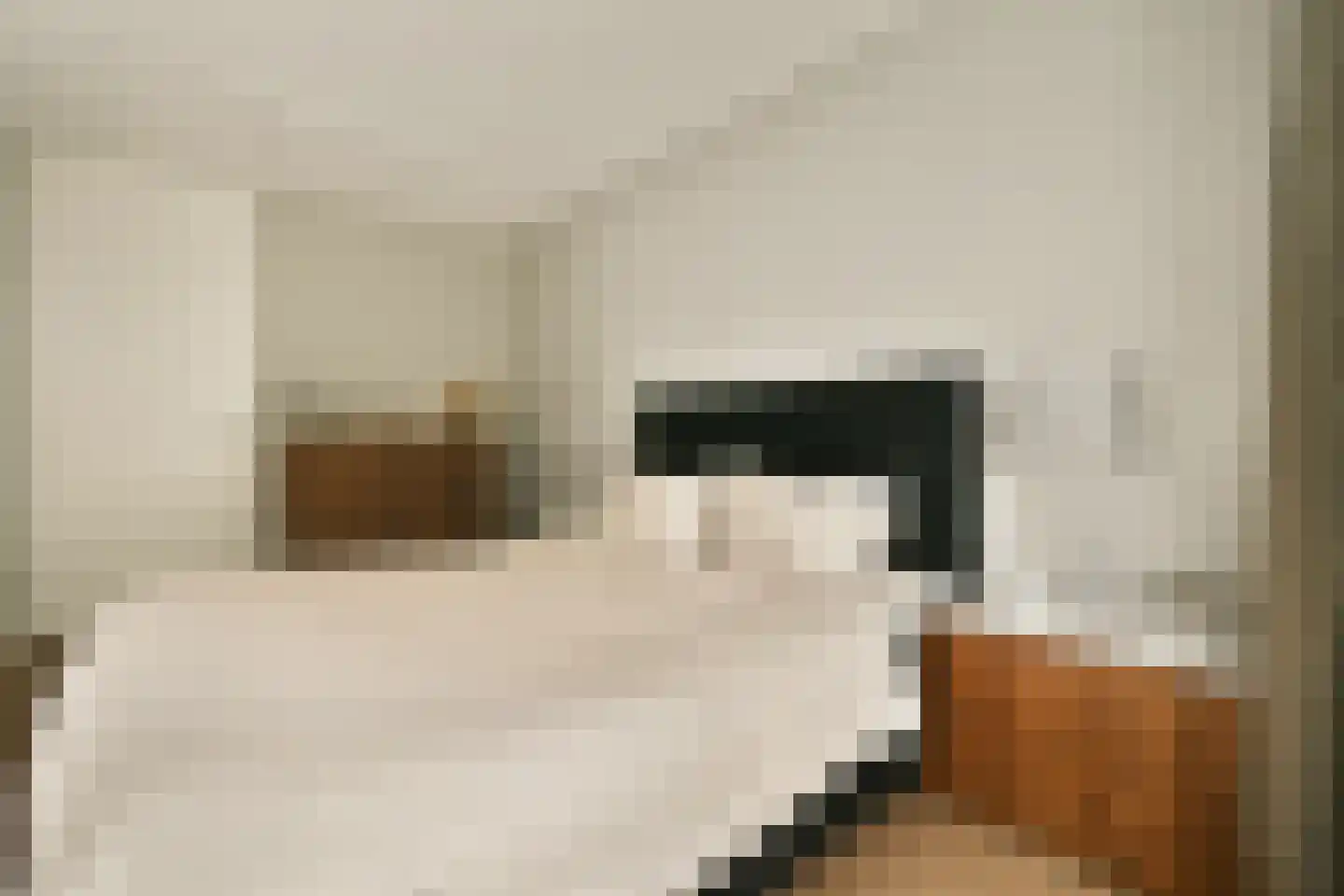 Boompjes 53 T Rotterdam thumbnail 23
