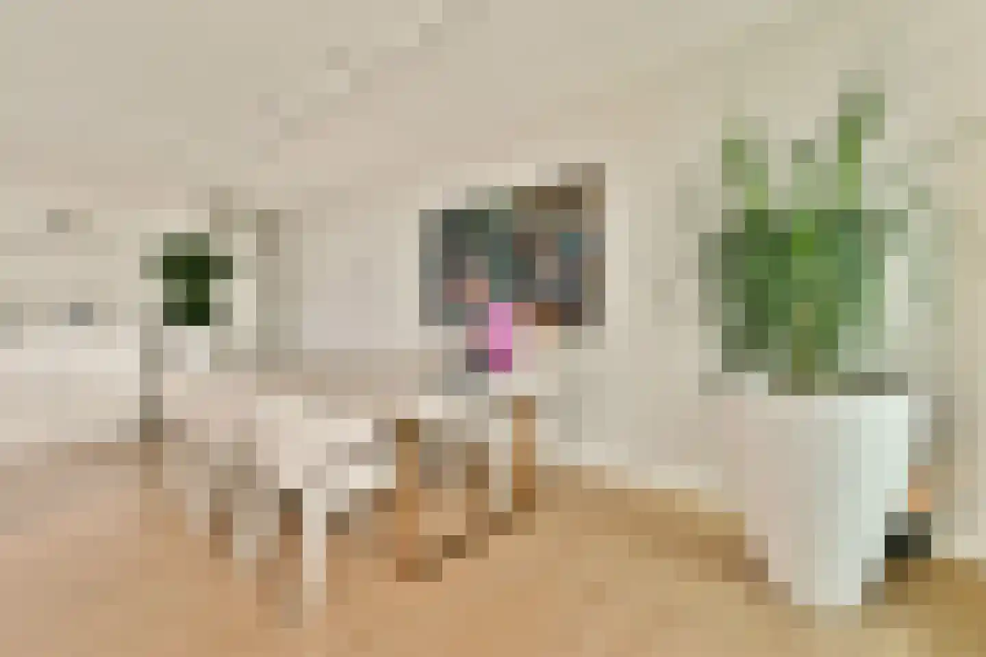 Boompjes 53 T Rotterdam thumbnail 5