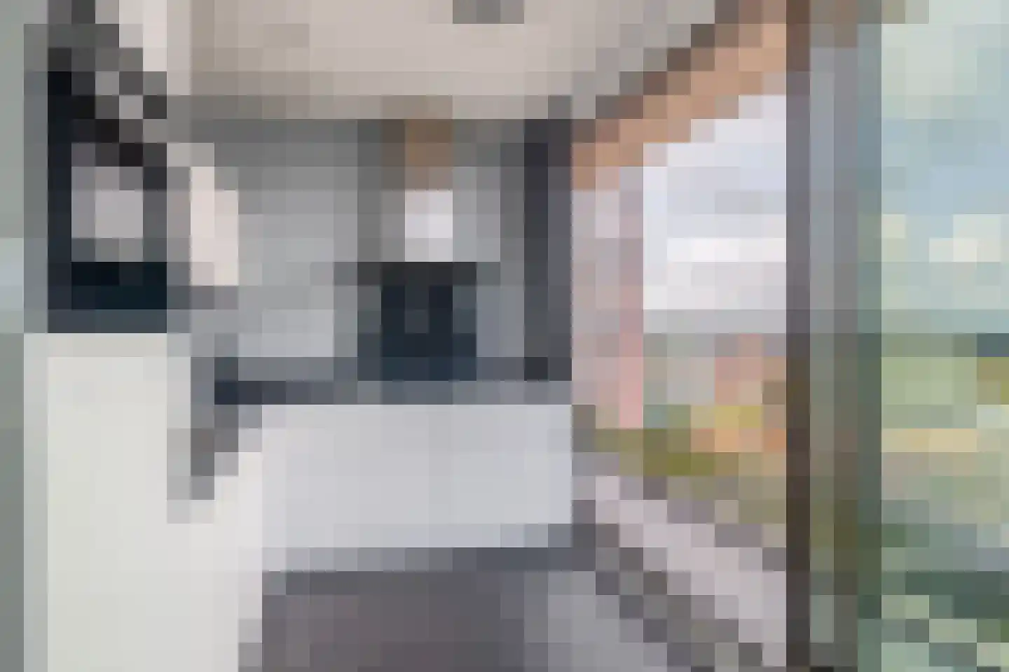 Boompjes 55 D Rotterdam thumbnail 23