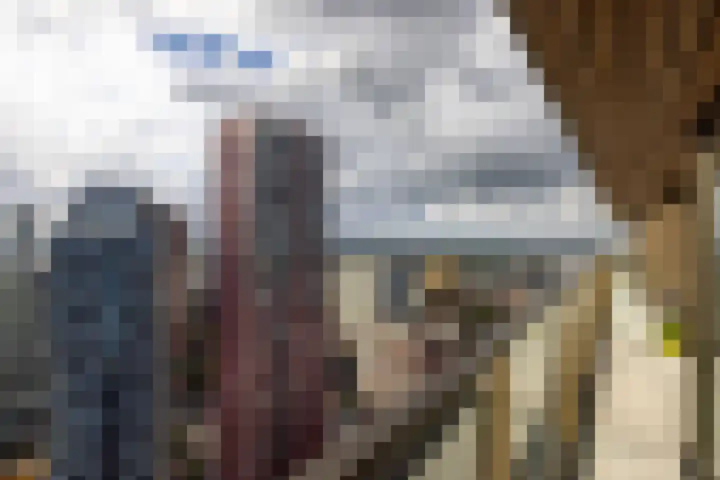 Boompjes 56 A Rotterdam thumbnail 19