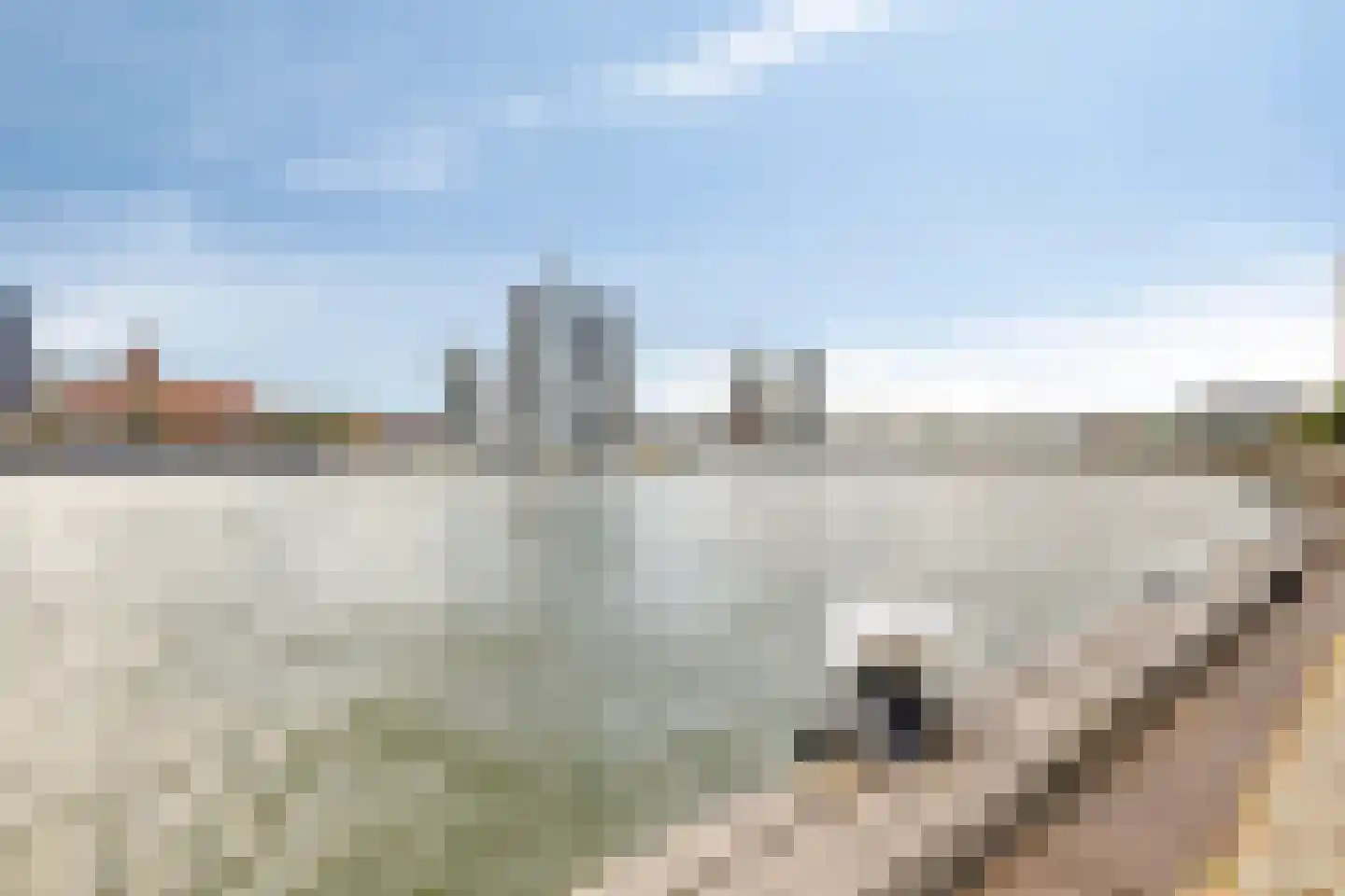 Boompjes 573 Rotterdam thumbnail 32