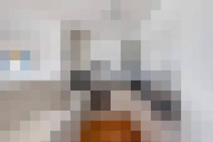 Boompjes 576 Rotterdam thumbnail 13